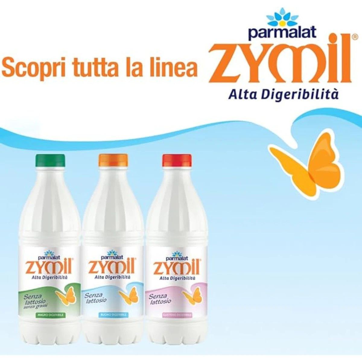 Prodotto
