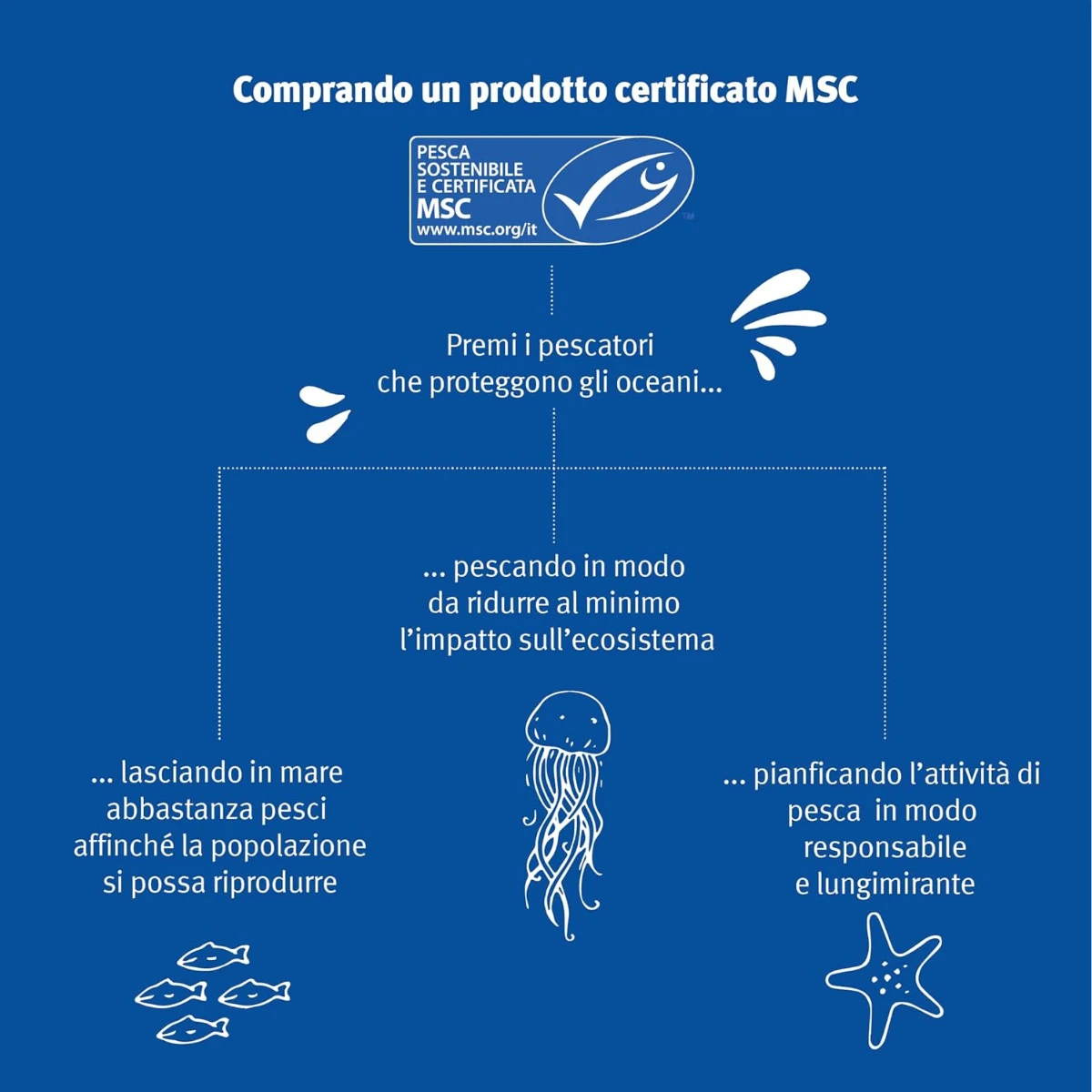 Prodotto