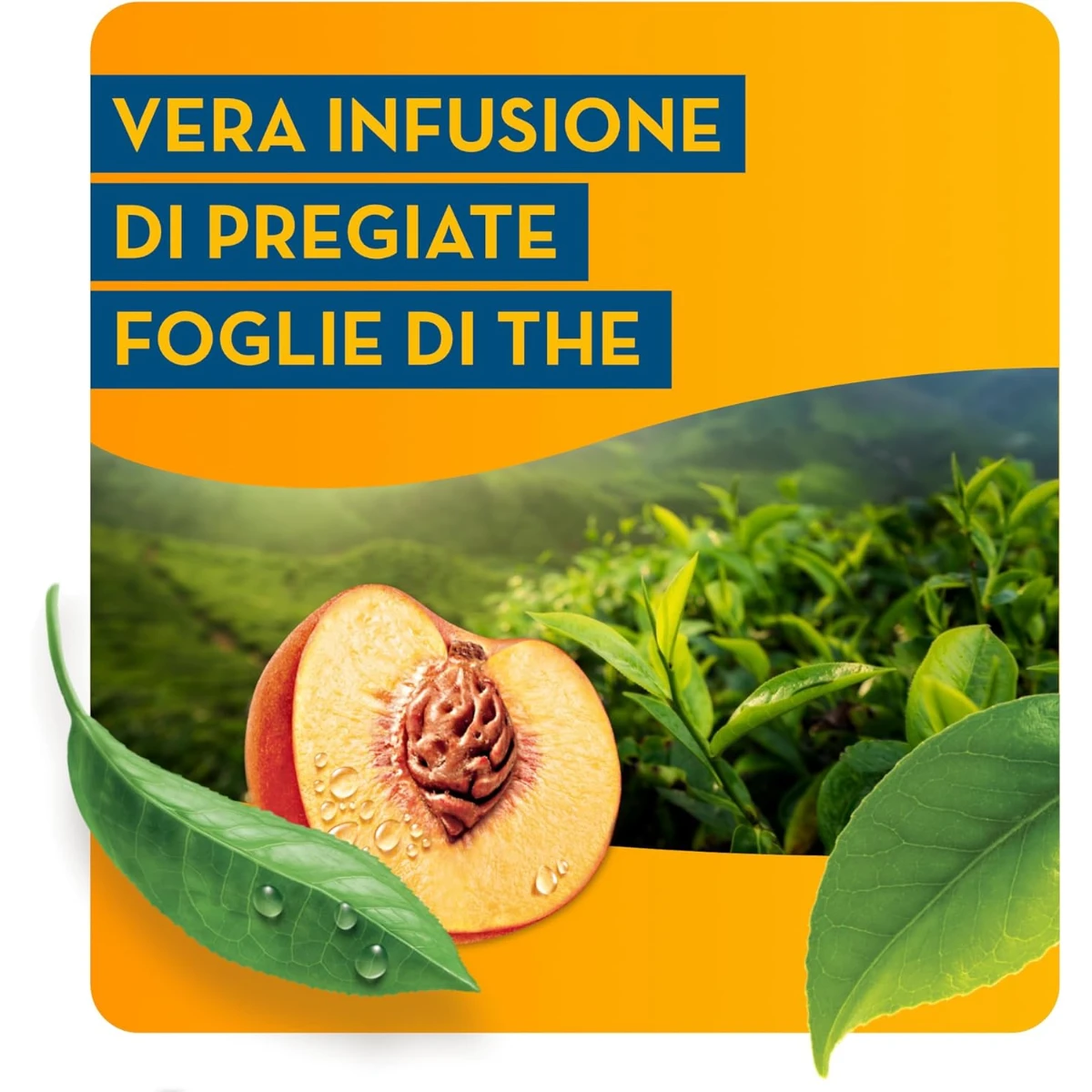 Prodotto
