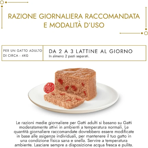 Prodotto