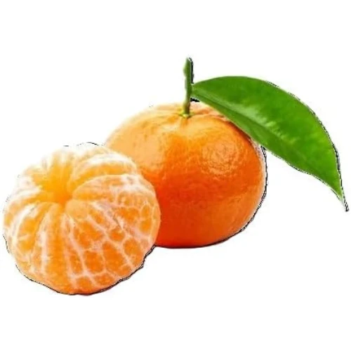 Prodotto