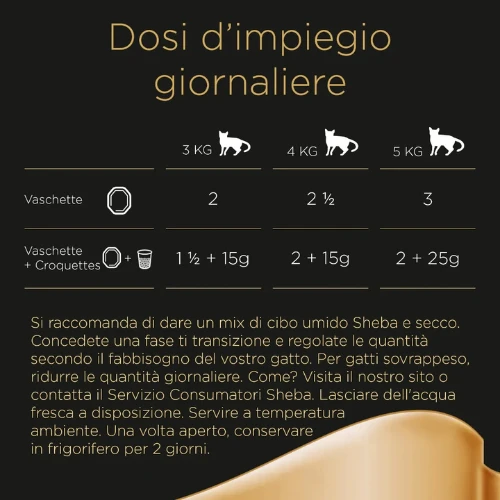 Prodotto