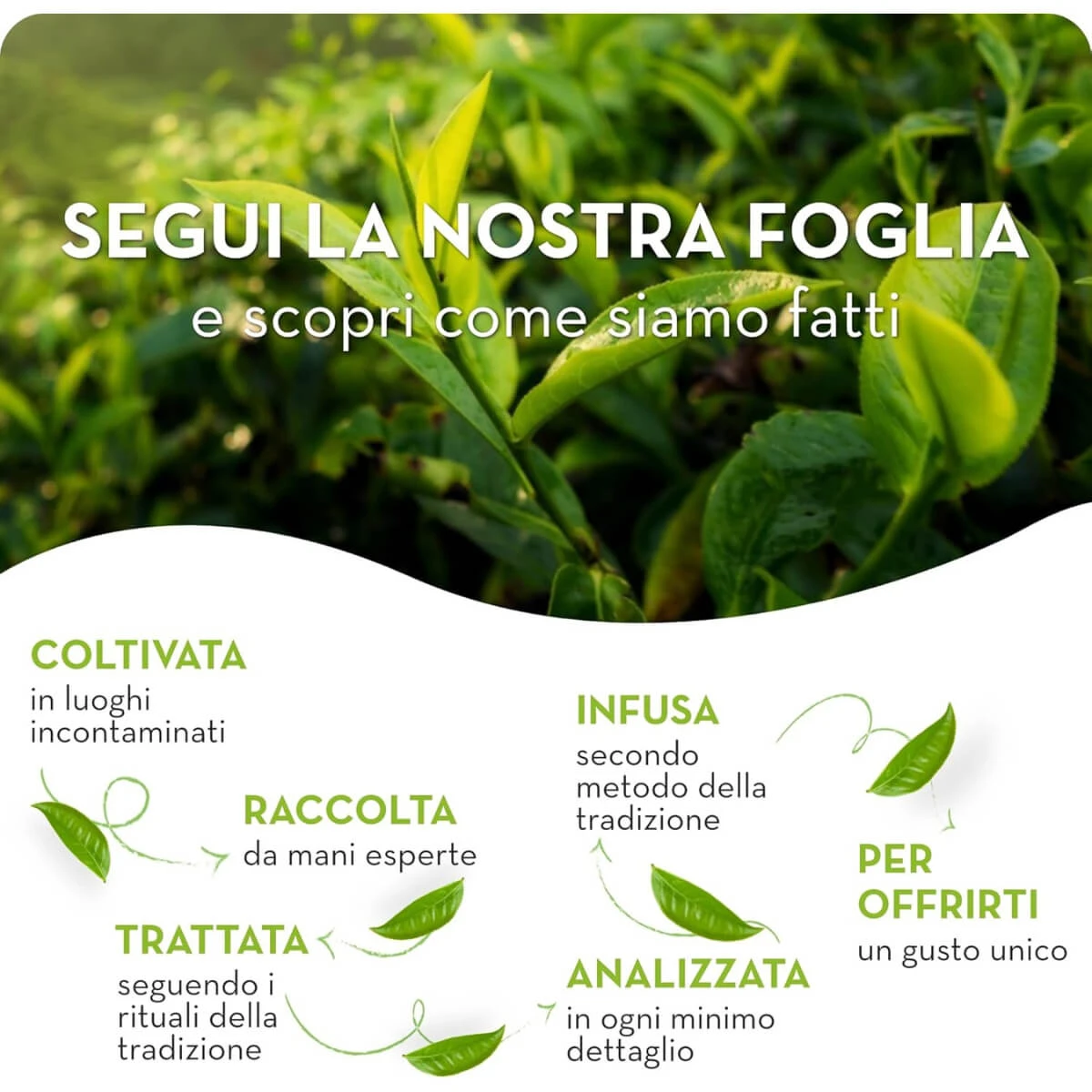 Prodotto