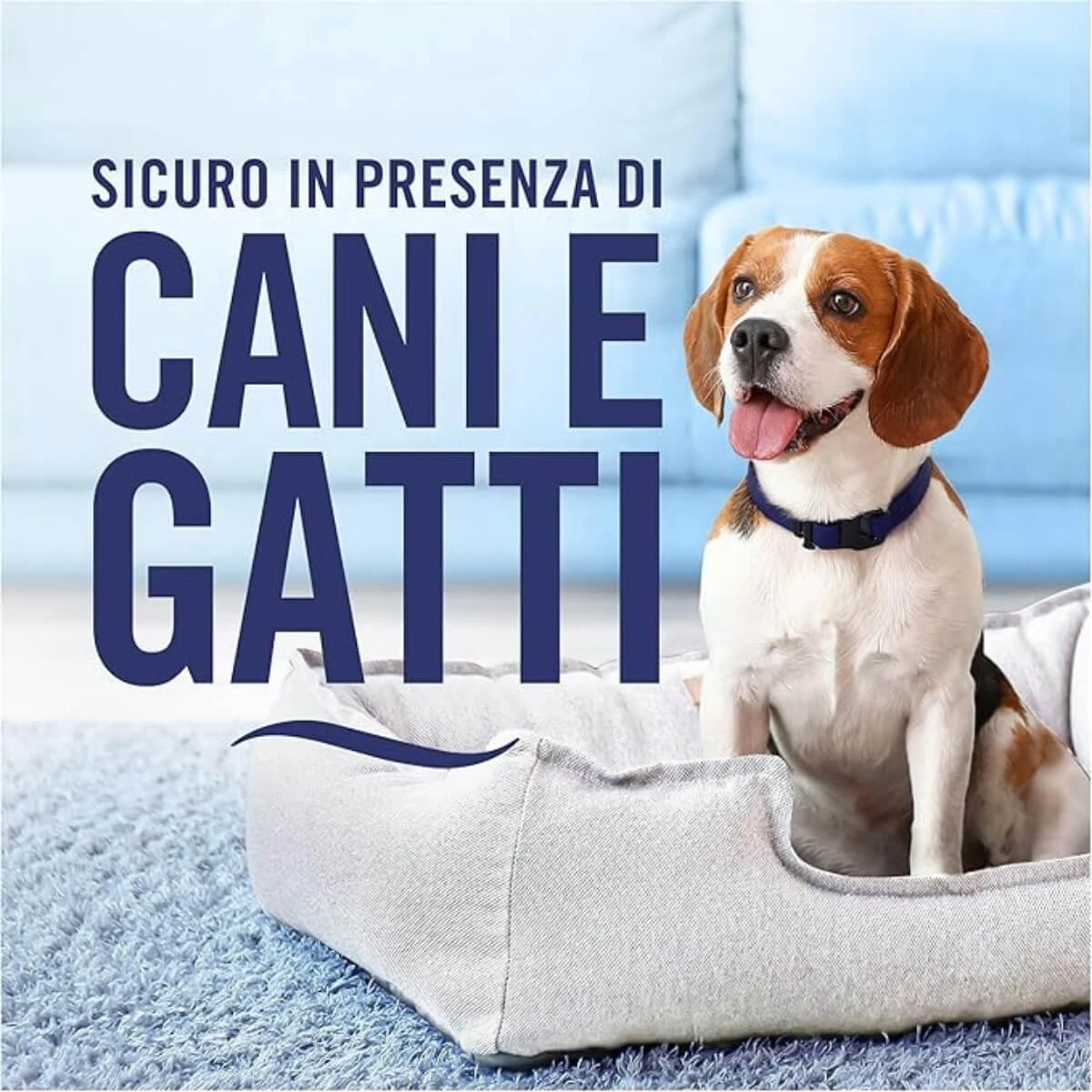Prodotto