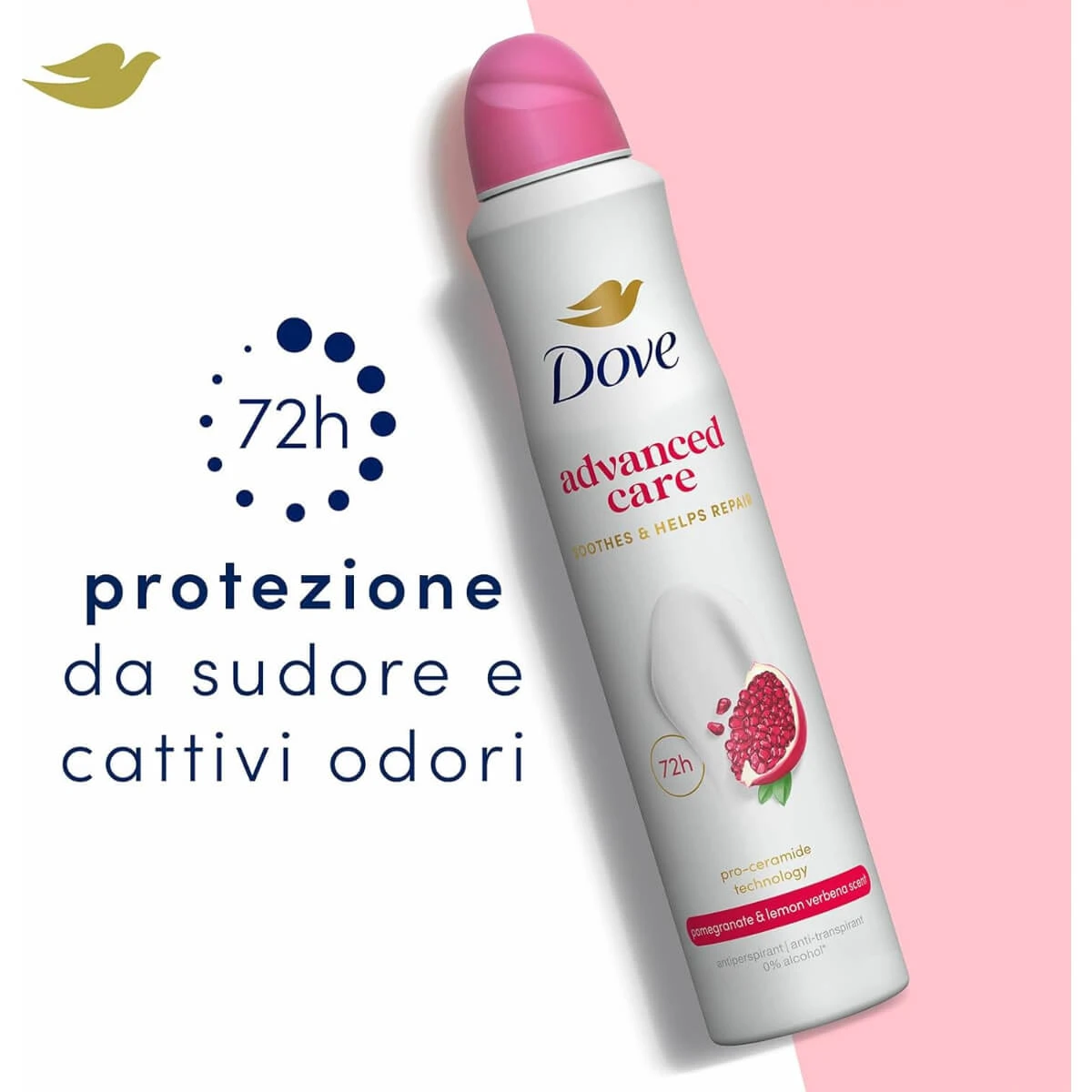 Prodotto
