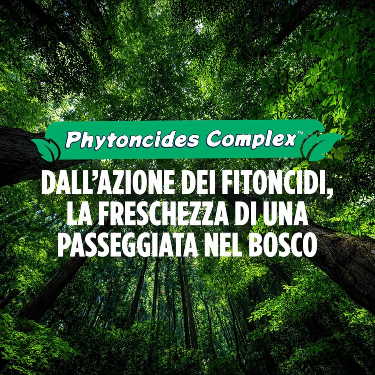 Prodotto