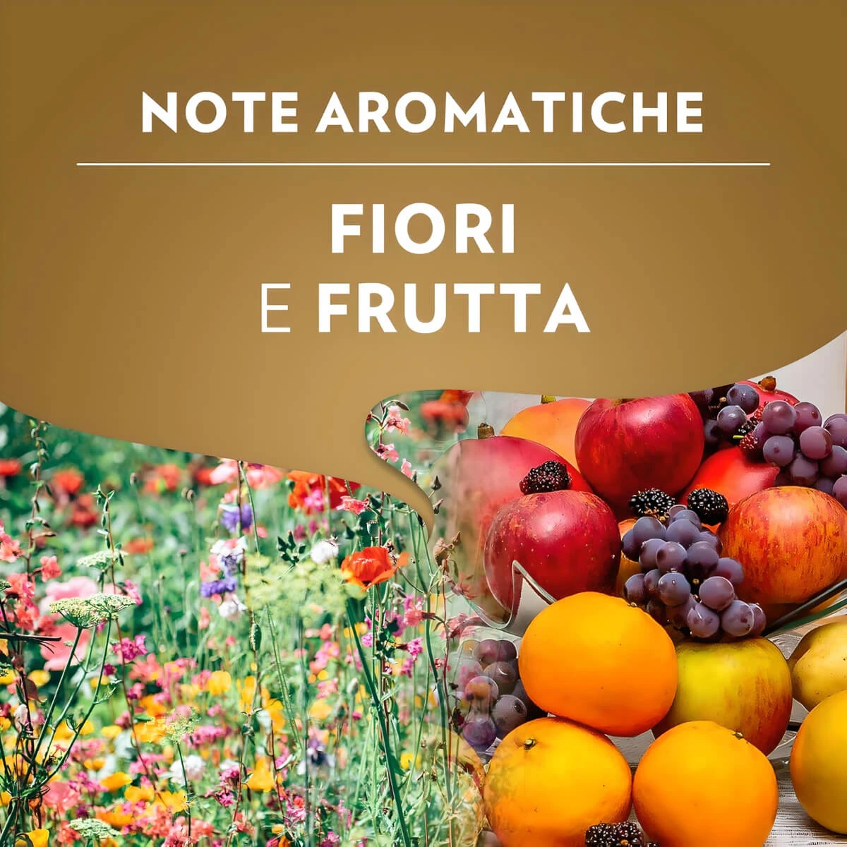 Prodotto
